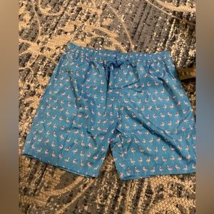 Biwisy Mens Swim shorts